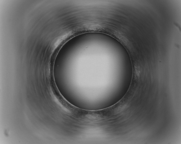 X0000103490630200809191923