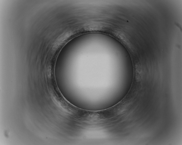 X0000103490631200809191923