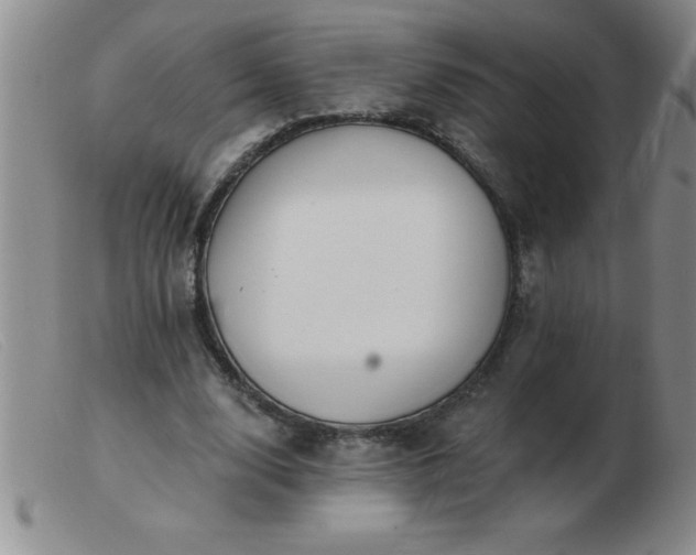 X0000103490632200809191923