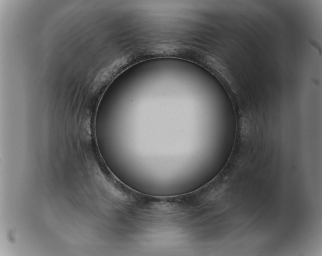 X0000103490633200809191923