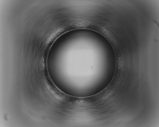 X0000103490634200809191923