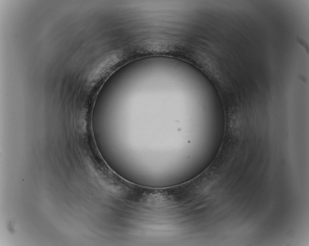 X0000103490635200809191923