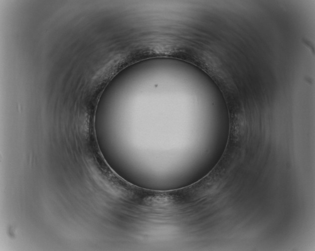 X0000103490639200809191923