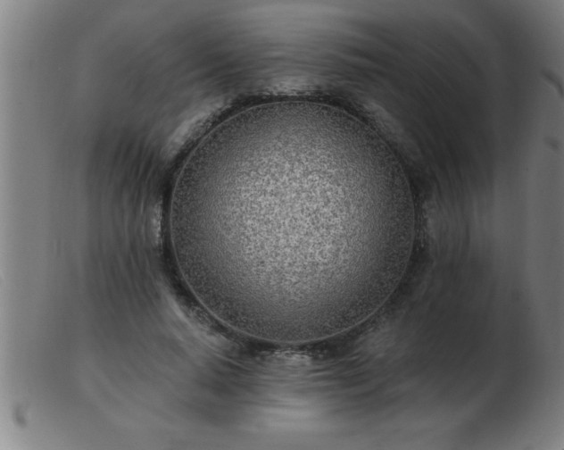 X0000103490640200809191923