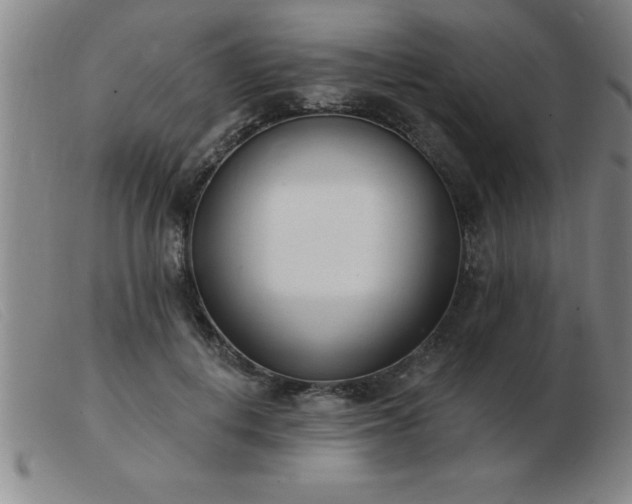 X0000103490648200809191923