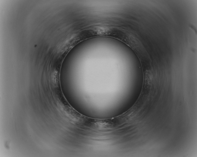 X0000103490650200809191923