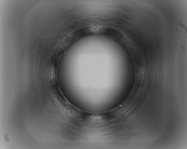 X0000103490651200809191923