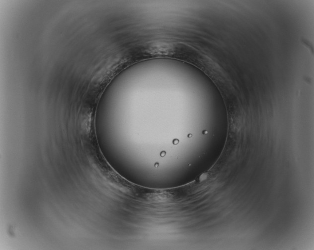 X0000103490652200809191923