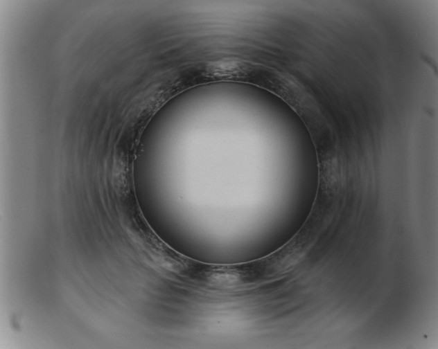 X0000103490653200809191923