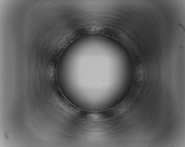 X0000103490654200809191923