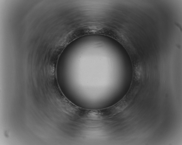 X0000103490657200809191923