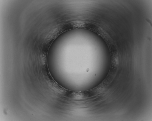 X0000103490658200809191923