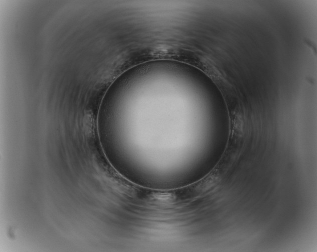 X0000103490659200809191923