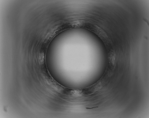 X0000103490660200809191923