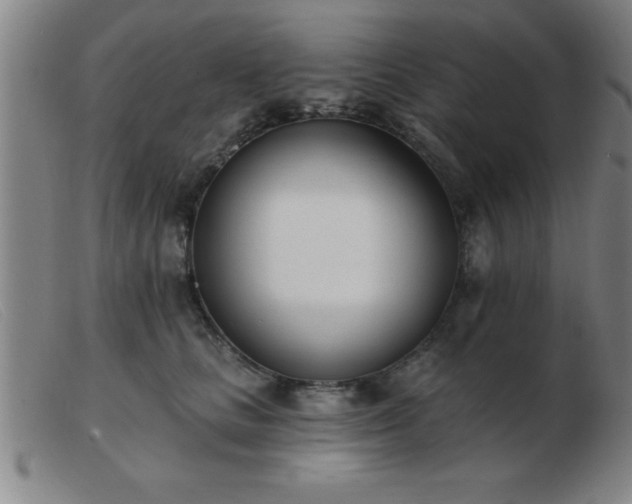 X0000103490661200809191923