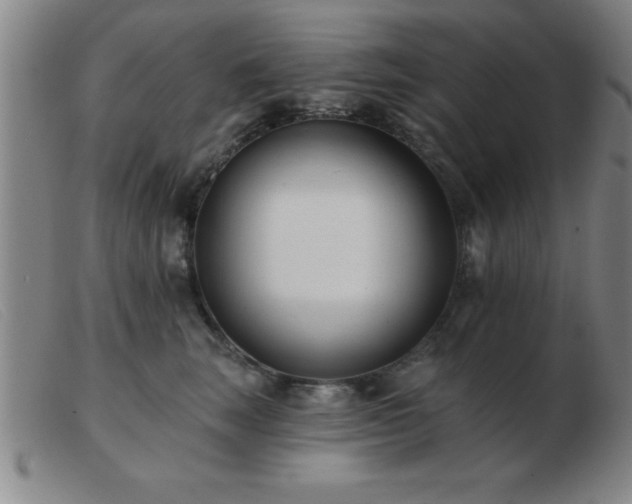 X0000103490663200809191923