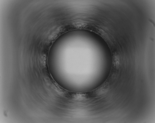 X0000103490664200809191923