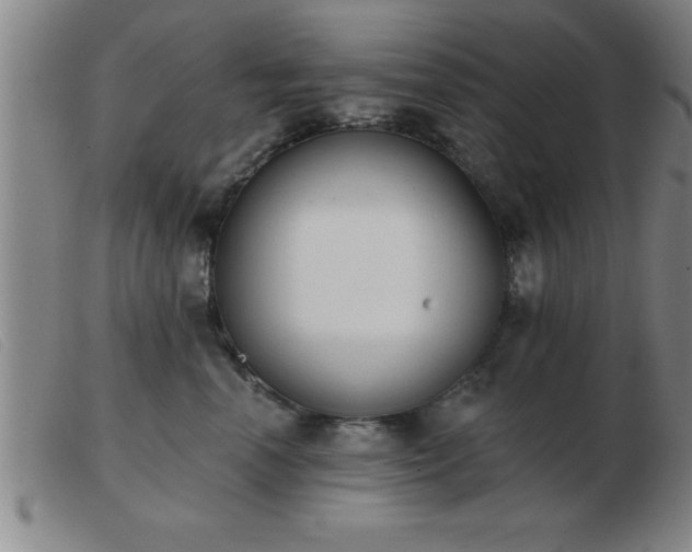 X0000103490666200809191923