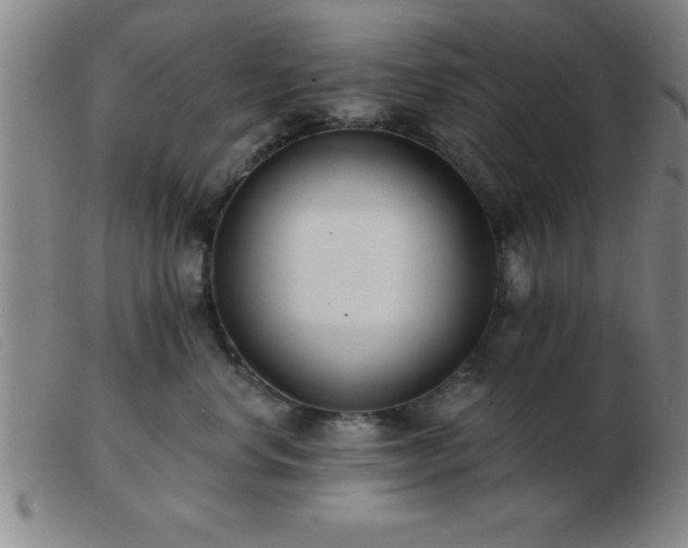 X0000103490668200809191923