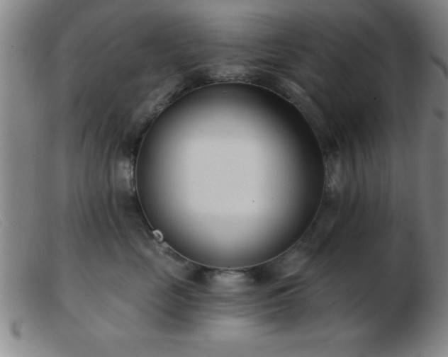 X0000103490669200809191923