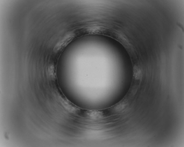 X0000103490670200809191923