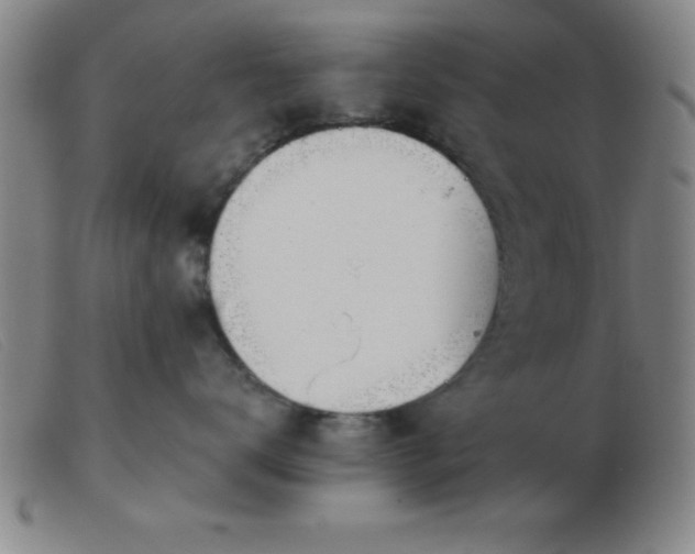 X0000103490672200809191923