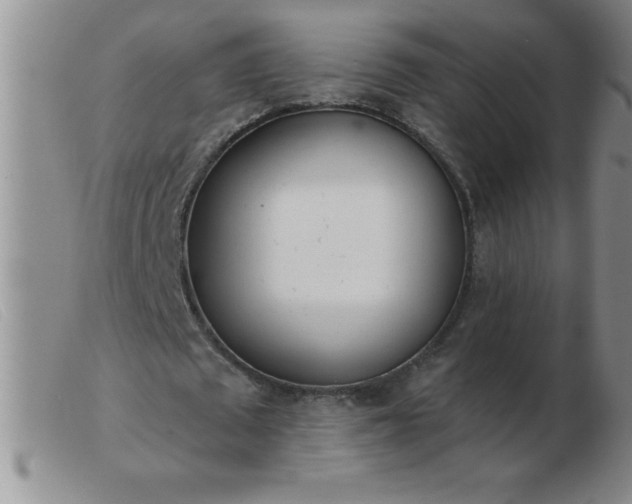 X0000103490673200809191923