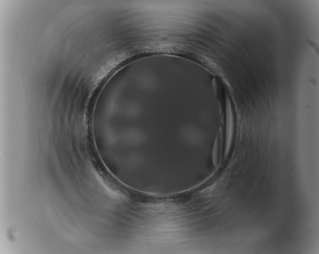 X0000103490674200809191923