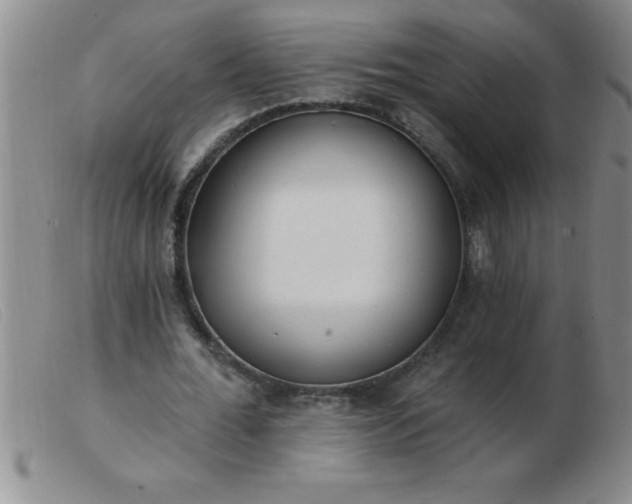 X0000103490676200809191923