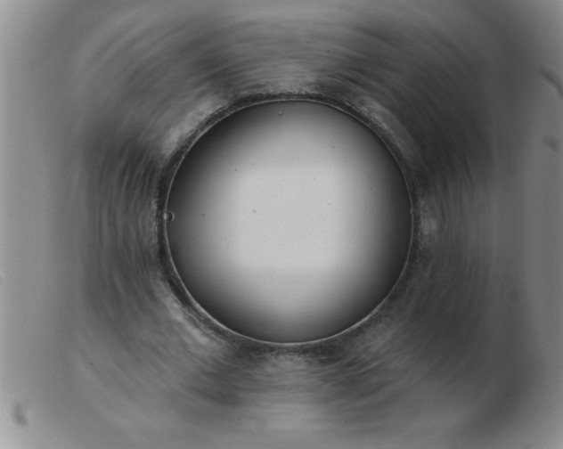 X0000103490677200809191923