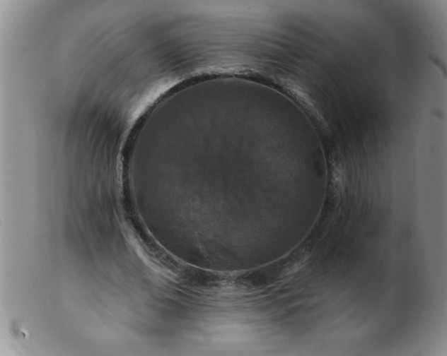 X0000103490678200809191923