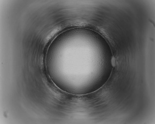 X0000103490679200809191923