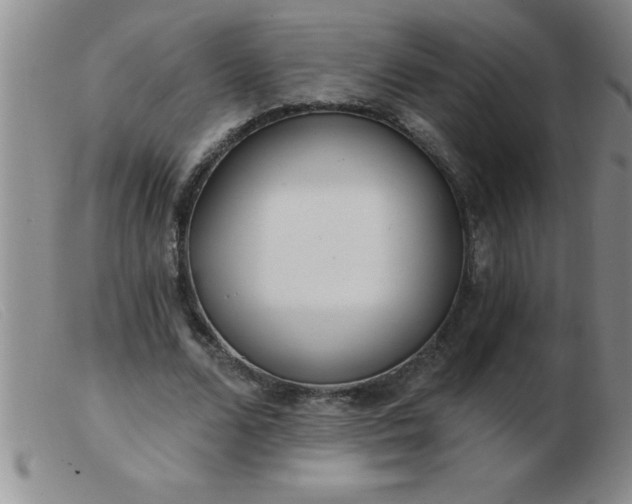 X0000103490680200809191923