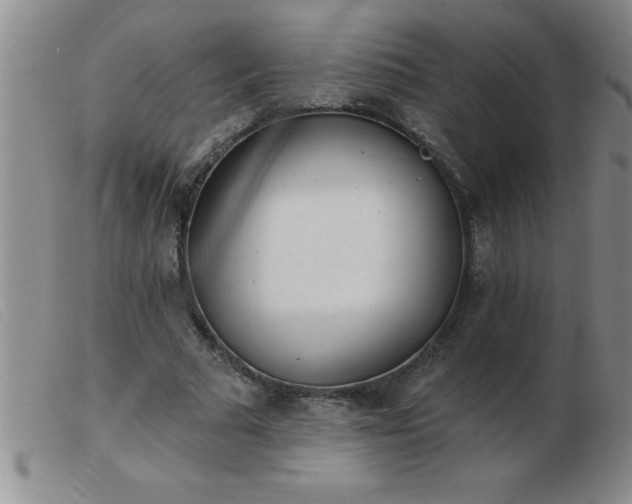 X0000103490681200809191923