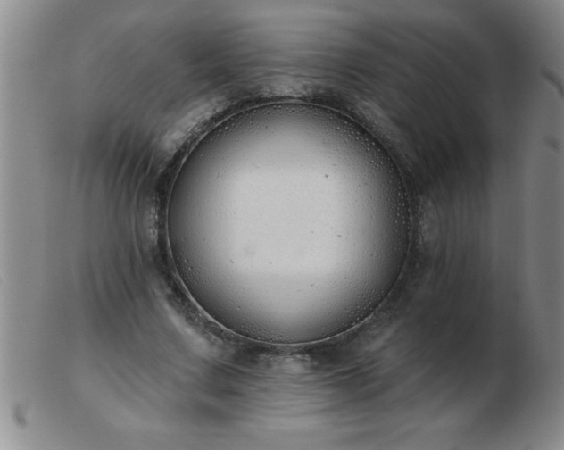 X0000103490683200809191923