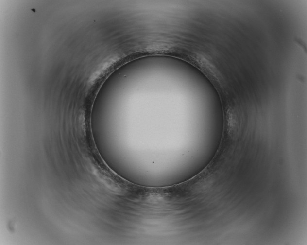 X0000103490684200809191923