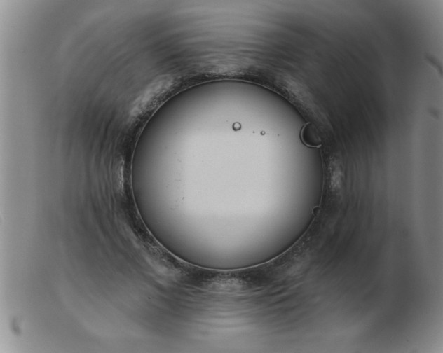 X0000103490685200809191923