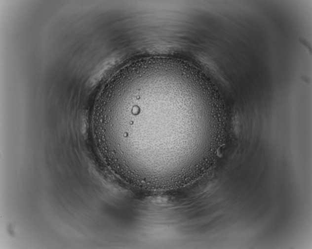 X0000103490687200809191923