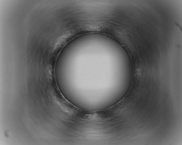 X0000103490688200809191923