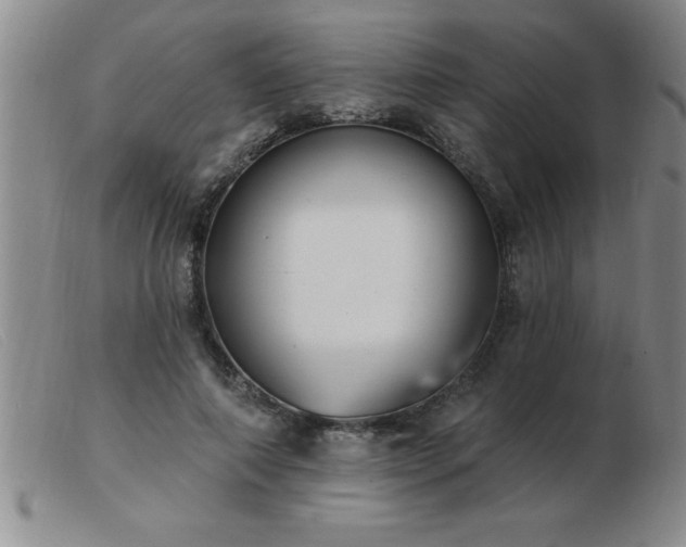 X0000103490690200809191923