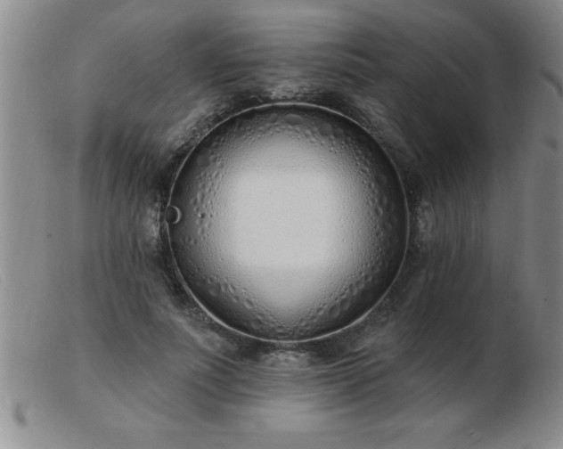 X0000103490691200809191923