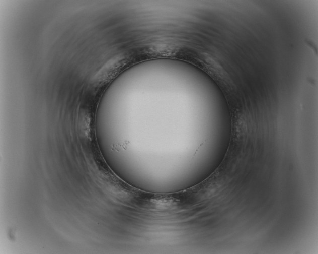 X0000103490693200809191923