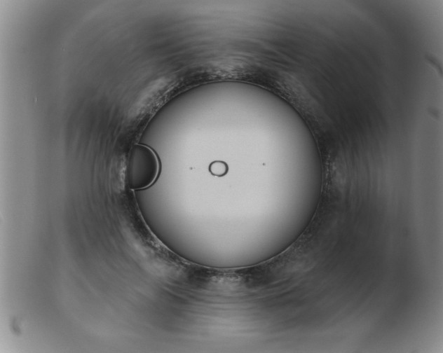 X0000103490694200809191923