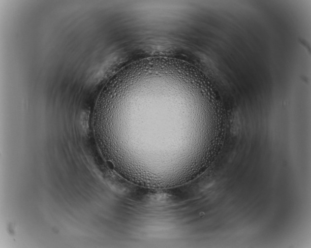 X0000103490695200809191923