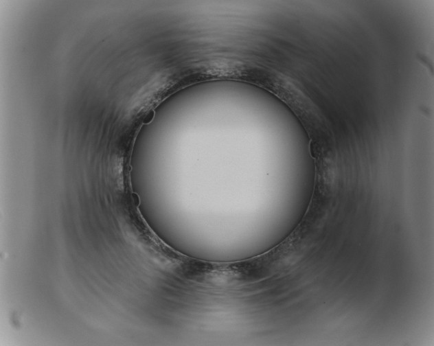 X0000103490696200809191923