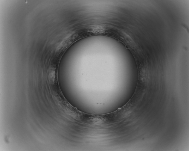 X0000103490697200809191922