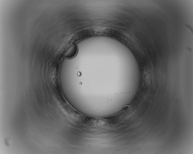 X0000103490698200809191922