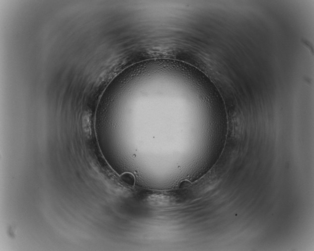 X0000103490699200809191922