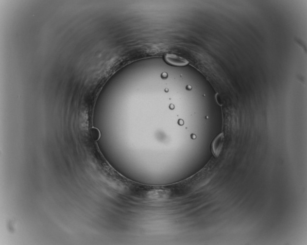 X0000103490700200809191922