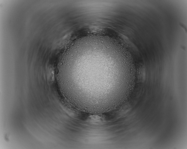 X0000103490703200809191922